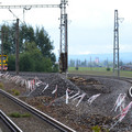 DSC_0252.JPG