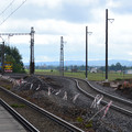 DSC_0256.JPG