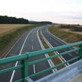IMG_5545.jpg
