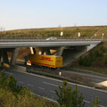 IMG_6924.jpg