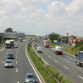 IMG_8699.jpg
