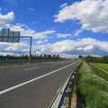 IMG_2613.jpg