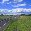 IMG_2622.jpg