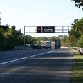 IMG_4972.jpg