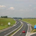 IMG_6551.jpg