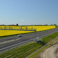 DSC_4824.JPG