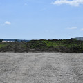 DSC_9298.JPG