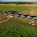 DJI_20240925084743_0022_D.JPG