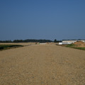 DSC_4349.JPG