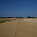 DSC_4354.JPG