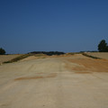 DSC_4355.JPG