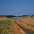 DSC_4357.JPG