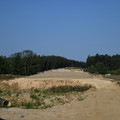 DSC_4375.JPG