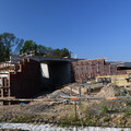 DSC_4379.JPG
