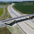 DJI_20260622122427_0181_D.JPG