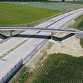 DJI_20260622122510_0184_D.JPG