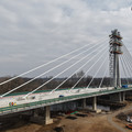 DJI_20250225115712_0010_D.JPG