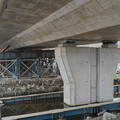 DJI_20260323145417_0179_D.JPG